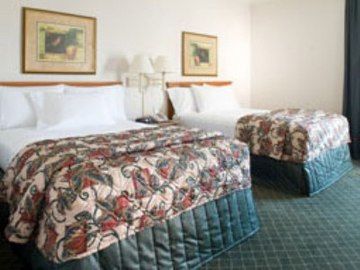 La Quinta By Wyndham Usf Hotel